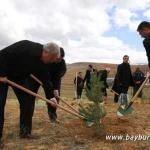 a6 – Bayburt Portalı