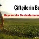 hayvancilik – Bayburt Portalı