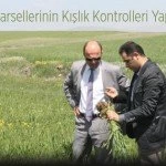 ekim alanlari – Bayburt Portalı