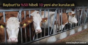 Bayburt'ta %50 hibeli 10 yeni ahır kurulacak