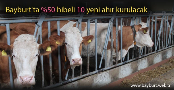 Bayburt’ta %50 hibeli 10 yeni ahır kurulacak