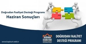 Doğrudan Faaliyet Desteği Programı Haziran Sonuçları