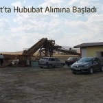 hububat – Bayburt Portalı