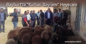 Bayburt'ta "Kurban Bayramı" Heyecanı