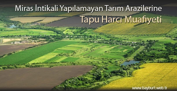 Miras İntikali Yapılamayan Arazilere Tapu Harcı Muafiyeti