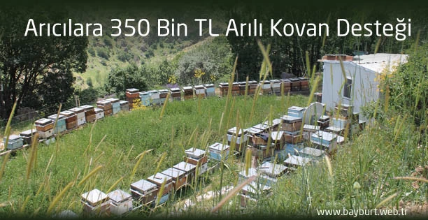 Arıcılara 350 Bin TL Arılı Kovan Desteği