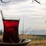 turk cayinin faydalari 10 – Bayburt Portalı