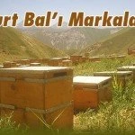 Bayburt Balı Markalaşacak – Bayburt Portalı