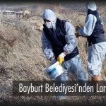 Bayburt Belediyesinden Larva Mücadelesi – Bayburt Portalı