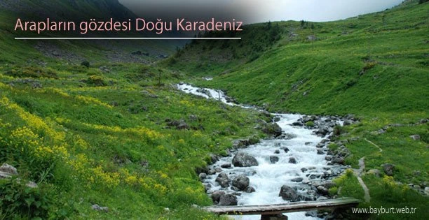 Arap Turistlerin Gözde Mekanı Doğu Karadeniz