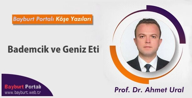Bademcik ve Geniz Eti