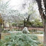 Bayburt merkeze yılın ilk karı yağdı 21 – Bayburt Portalı