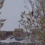 Bayburt merkeze yılın ilk karı yağdı 4 – Bayburt Portalı