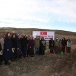 Gönül Elçilerinden Hatıra Ormanı 5 – Bayburt Portalı