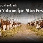 Tarimda Yatirim icin Altin Firsat – Bayburt Portalı