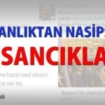 insanliktan nasipsiz insanciklar – Bayburt Portalı