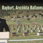 Bayburt Aricilikta Ballanmaya Basladi – Bayburt Portalı