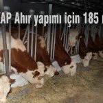 DOKAP Ahir yapimi – Bayburt Portalı