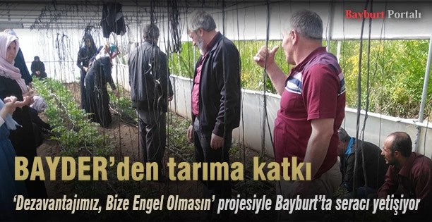BAYDER, Bayburt’ta seracı yetiştiriyor