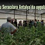 Bayburtlu Seracilara Antalyada uygulamali egitim – Bayburt Portalı