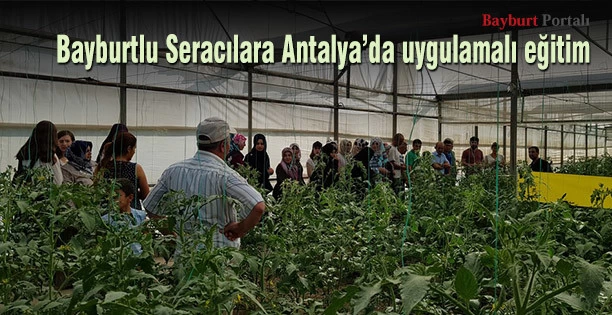 Bayburtlu Seracılara Antalya’da uygulamalı eğitim