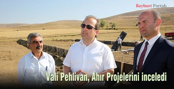 Vali Pehlivan, Ahır Projelerini inceledi