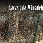 Larvalarla Mucadele Basladi – Bayburt Portalı