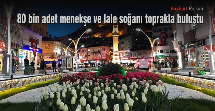 80 bin adet menekşe ve lale soğanı toprakla buluştu