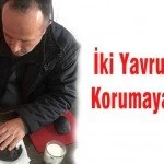 iki Yavru Kopek Korumaya Alindi – Bayburt Portalı