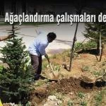 Agaclandirma devam ediyor – Bayburt Portalı