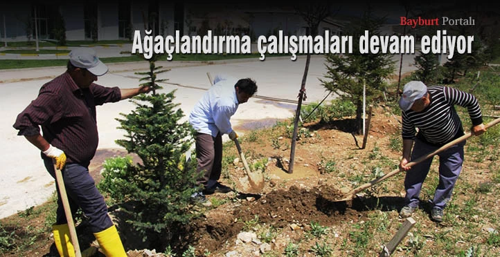 Park ve bahçelerde ağaçlandırma devam ediyor