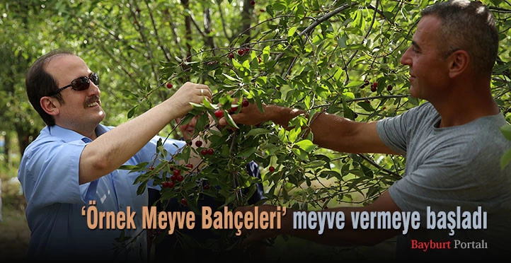 ‘Örnek Meyve Bahçeleri’ meyve vermeye başladı