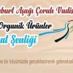 Bayburt Organik urunler hasat senligi – Bayburt Portalı