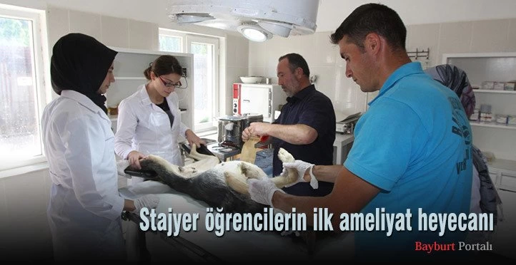 Stajyer öğrencilerin ilk ameliyat heyecanı