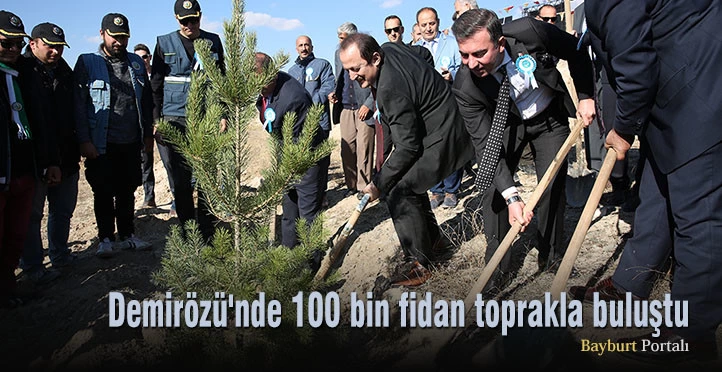 Demirözü’nde 100 bin fidan toprakla buluştu