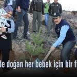 Yil icinde dogan her bebek icin bir fidan dikildi – Bayburt Portalı