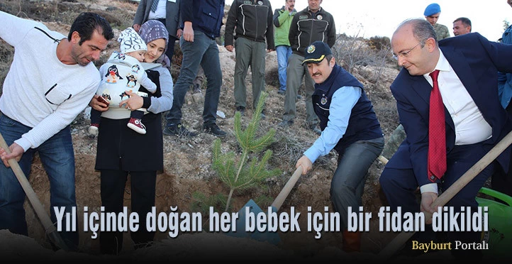 Yıl içinde doğan her bebek için bir fidan dikildi