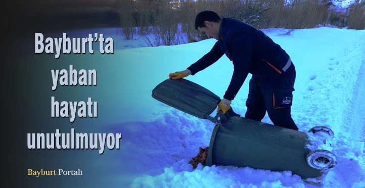 Yaban hayatı unutulmuyor