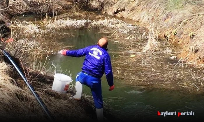 Larvalarla mücadele hız kesmiyor