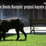 Bayburt universitesinde Hayvan Dostu Kampus projesi hayata gecirildi – Bayburt Portalı