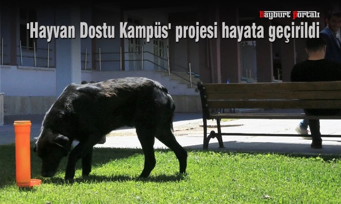 ‘Hayvan Dostu Kampüs’ projesi hayata geçirildi