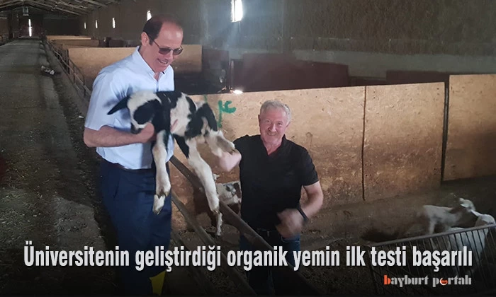 Bayburt Üniversitesi’nin geliştirdiği organik yemin ilk testi başarılı