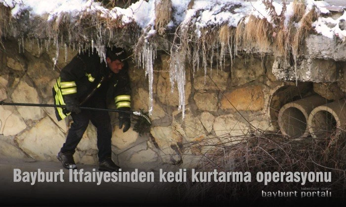 Bayburt İtfaiyesinden kedi kurtarma operasyonu