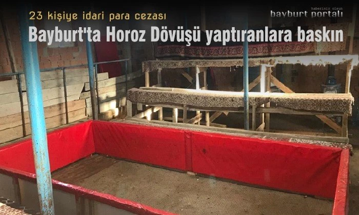 Bayburt’ta Horoz Dövüşü yaptıranlara baskın