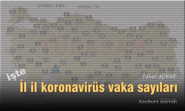 Bakan açıkladı: işte il il koronavirüs vaka sayıları