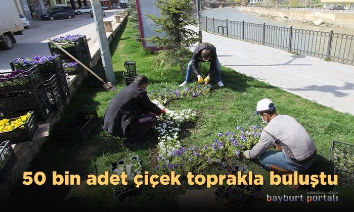 Bayburt’ta 50 bin adet çiçek toprakla buluştu