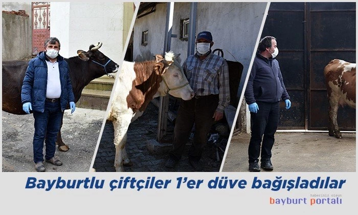 Bayburtlu çiftçiler 1’er düve bağışladılar