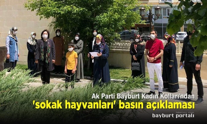 Ak Parti Bayburt Kadın Kolları’ndan ‘sokak hayvanları’ basın açıklaması