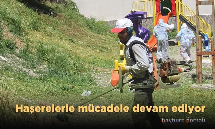 Bayburt Belediyesi, haşerelerle mücadeleyi elden bırakmıyor