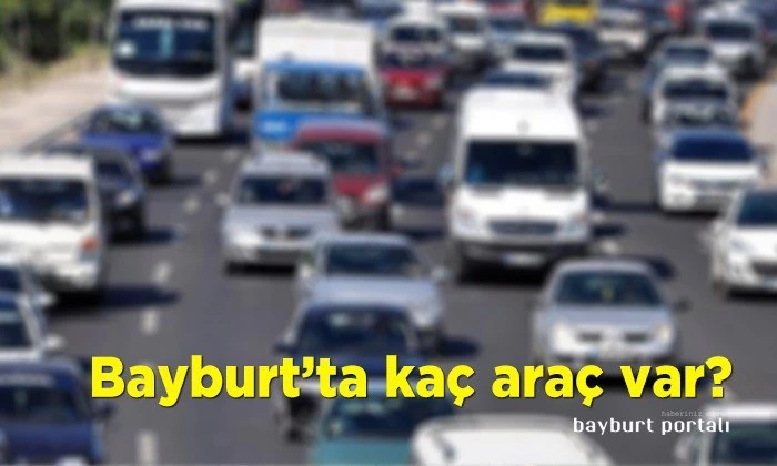 Bayburt’ta kaç araç var?